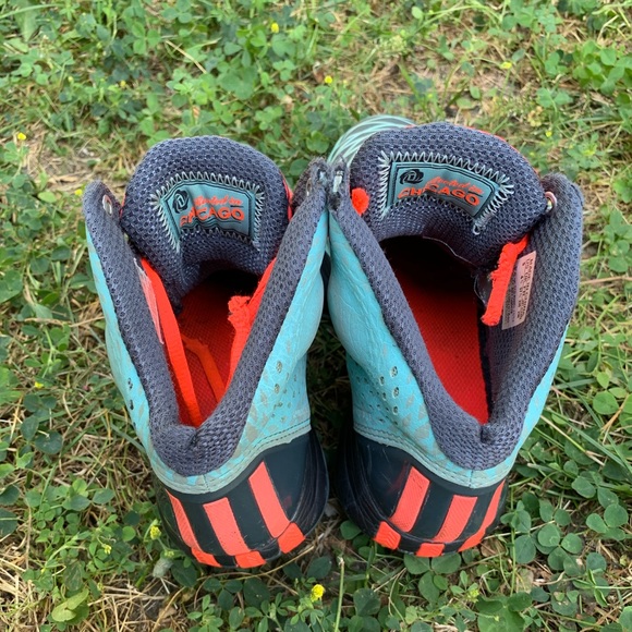 Children’s Derek Roses - Picture 4 of 4